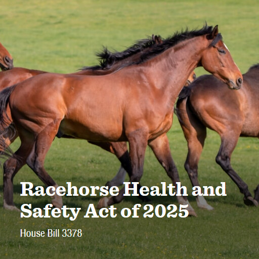 H.R.3378 119 Racehorse Health and Safety Act of 2025