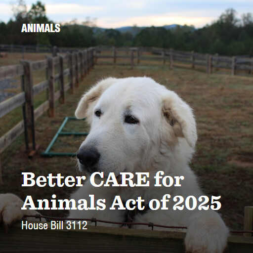 H.R.3112 119 Better CARE for Animals Act of 2025