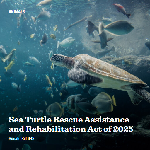S.843 119 Sea Turtle Rescue Assistance and Rehabilitation Act of 2025