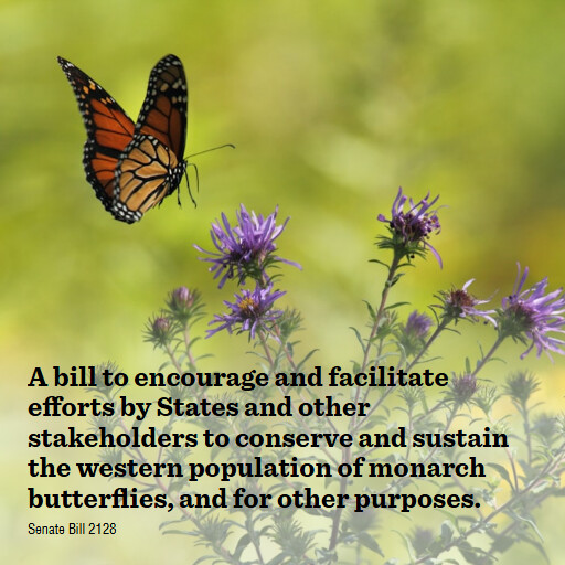 S.2128 119 A bill to encourage and facilitate efforts by States and other stakeholders to conserve an