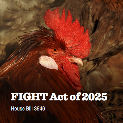 H.R.3946 119 FIGHT Act of 2025