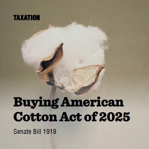S.1919 119 Buying American Cotton Act of 2025