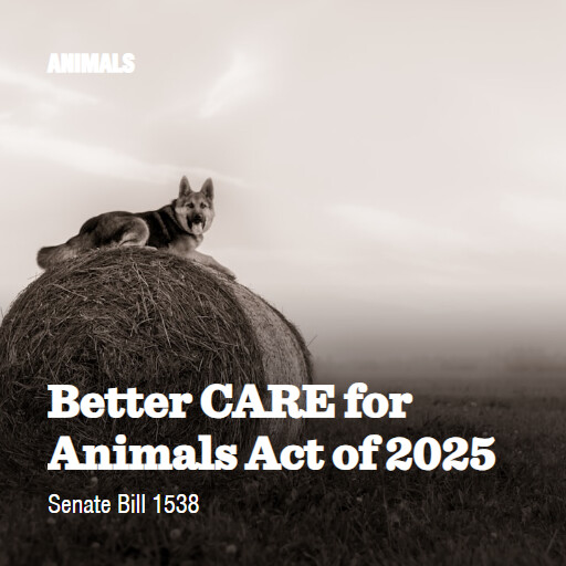S.1538 119 Better CARE for Animals Act of 2025