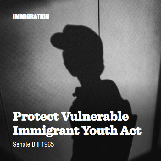 S.1965 119 Protect Vulnerable Immigrant Youth Act