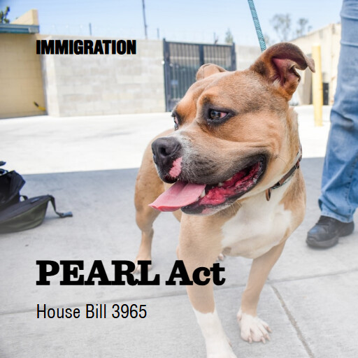 H.R.3965 119 PEARL Act