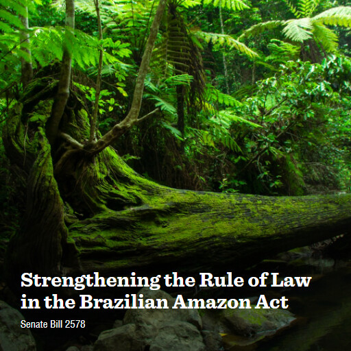 S.2578 119 Strengthening the Rule of Law in the Brazilian Amazon Act