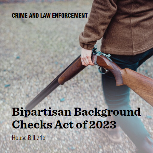 H.R.715 118 Bipartisan Background Checks Act of 2023