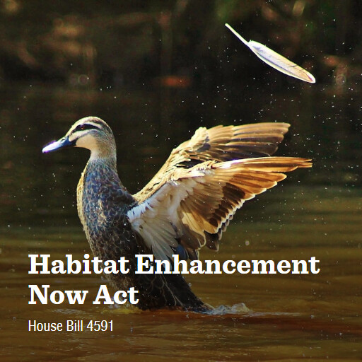 H.R.4591 119 Habitat Enhancement Now Act