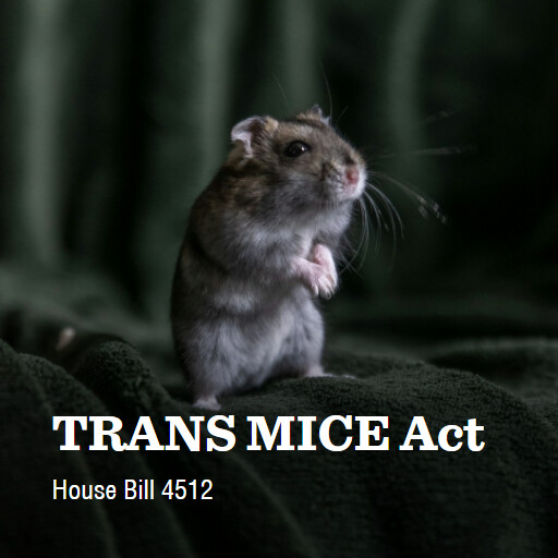 H.R.4512 119 TRANS MICE Act