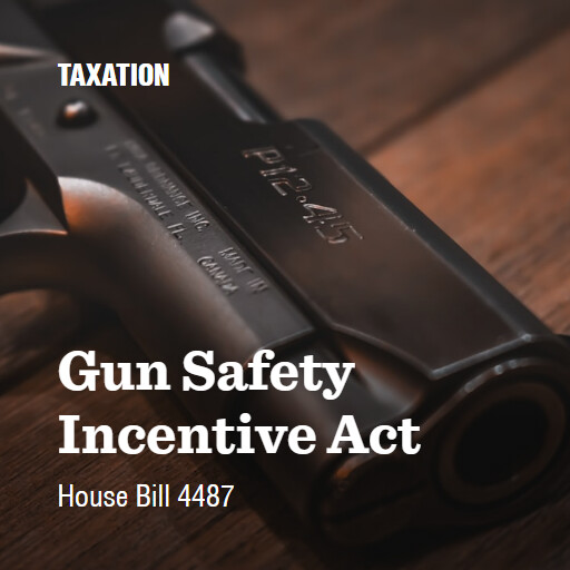 H.R.4487 119 Gun Safety Incentive Act