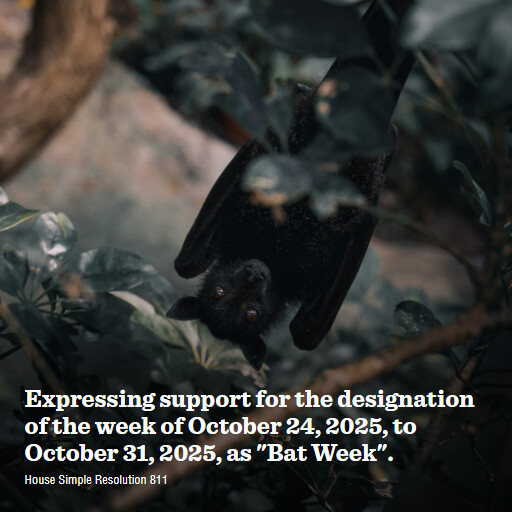 H.Res.811 119 Expressing support for the designation of the week of October 24 2025 to October 31 2025 a