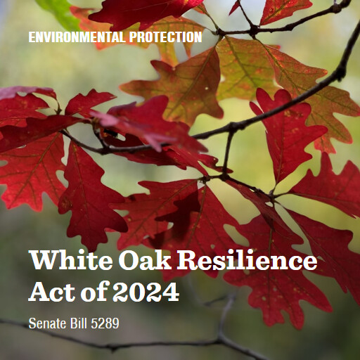 S.5289 118 White Oak Resilience Act of 2024