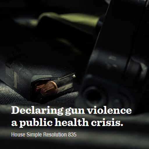 H.Res.835 119 Declaring gun violence a public health crisis