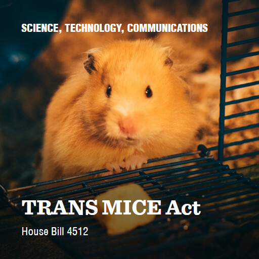 H.R.4512 119 TRANS MICE Act 2