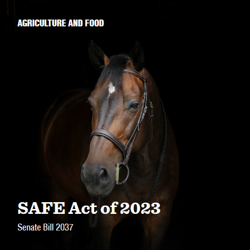 S.2037 118 SAFE Act of 2023