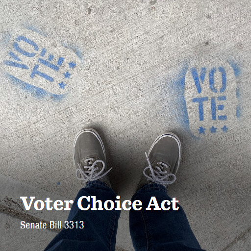 S.3313 118 Voter Choice Act