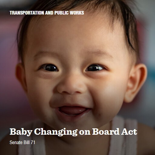 S.71 119 Baby Changing on Board Act