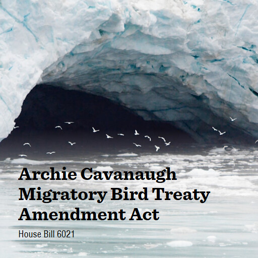 H.R.6021 119 Archie Cavanaugh Migratory Bird Treaty Amendment Act