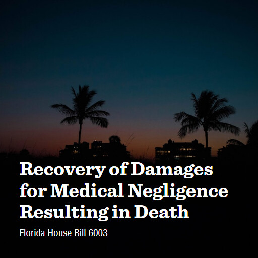 FL HB6003 2026 Recovery of Damages for Medical Negligence Resulting in Death