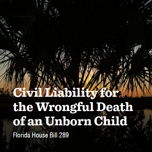FL HB289 2026 Civil Liability for the Wrongful Death of an Unborn Child