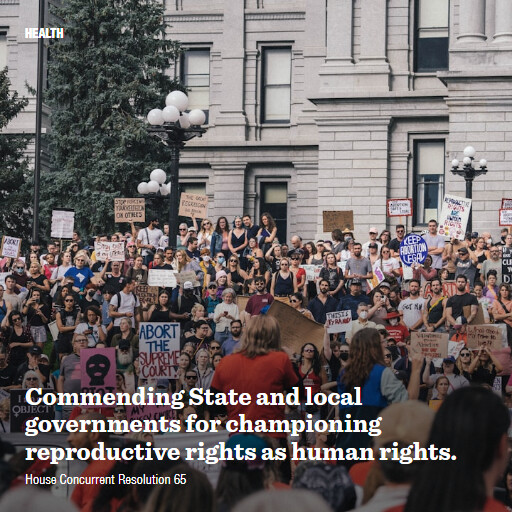 H.Con.Res.65 119 Commending State and local governments for championing reproductive rights as human rights