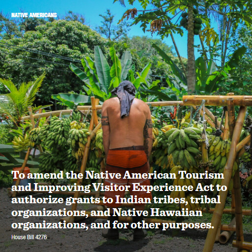 H.R.4276 119 To amend the Native American Tourism and Improving Visitor Experience Act to authorize gra