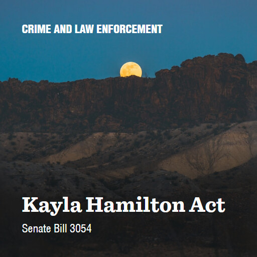 S.3054 119 Kayla Hamilton Act