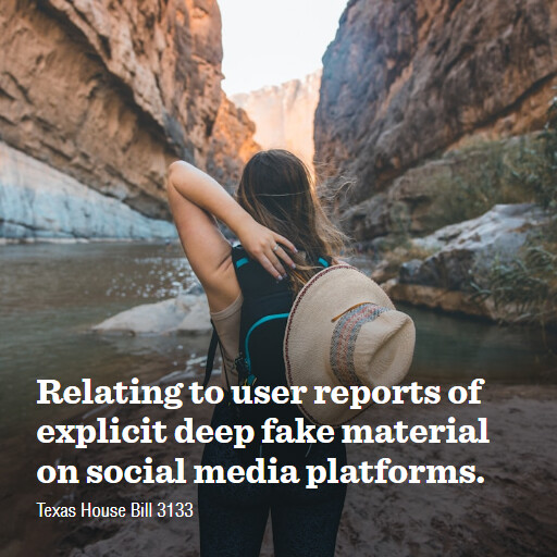 TX HB3133 89R Relating to user reports of explicit deep fake material on social media platforms