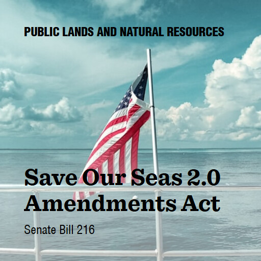 S.216 119 Save Our Seas 20 Amendments Act 2