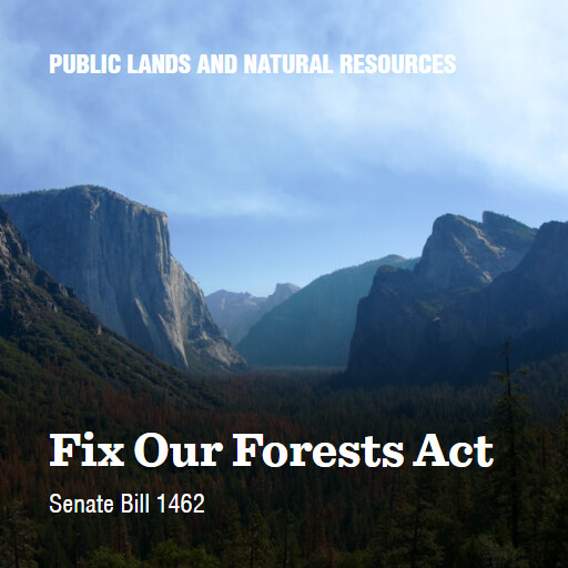 S.1462 119 Fix Our Forests Act 2