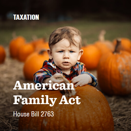 H.R.2763 119 American Family Act