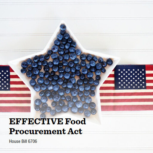 H.R.6706 119 EFFECTIVE Food Procurement Act