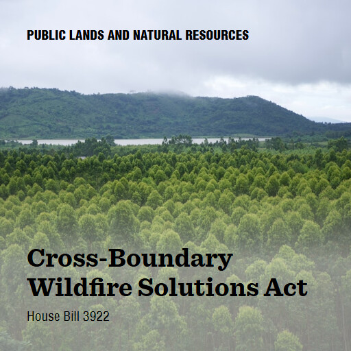 H.R.3922 119 CrossBoundary Wildfire Solutions Act