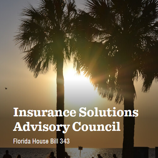 FL HB343 2026 Insurance Solutions Advisory Council