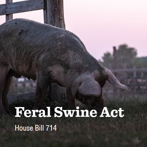 H.R.714 118 Feral Swine Act