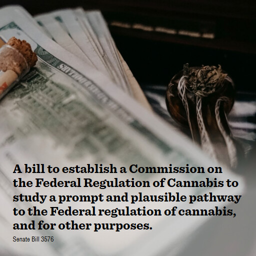 S.3576 119 A bill to establish a Commission on the Federal Regulation of Cannabis to study a prompt a
