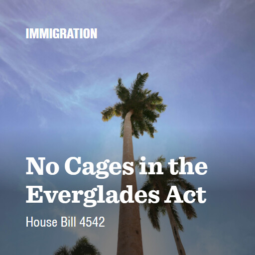 H.R.4542 119 No Cages in the Everglades Act