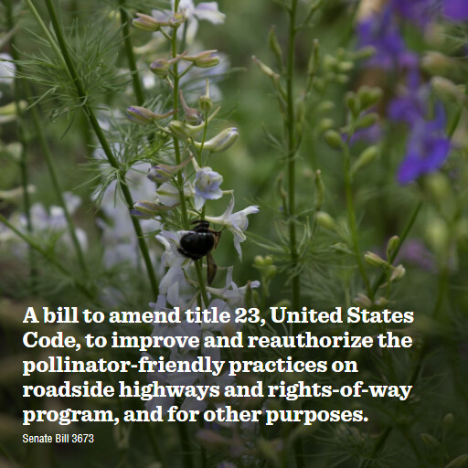 S.3673 119 A bill to amend title 23 United States Code to improve and reauthorize the pollinatorfrien