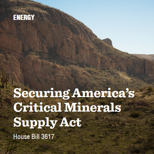 H.R.3617 119 Securing Americas Critical Minerals Supply Act