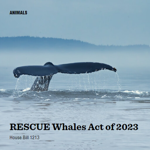 H.R.1213 118 RESCUE Whales Act of 2023
