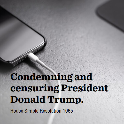 H.Res.1065 119 Condemning and censuring President Donald Trump