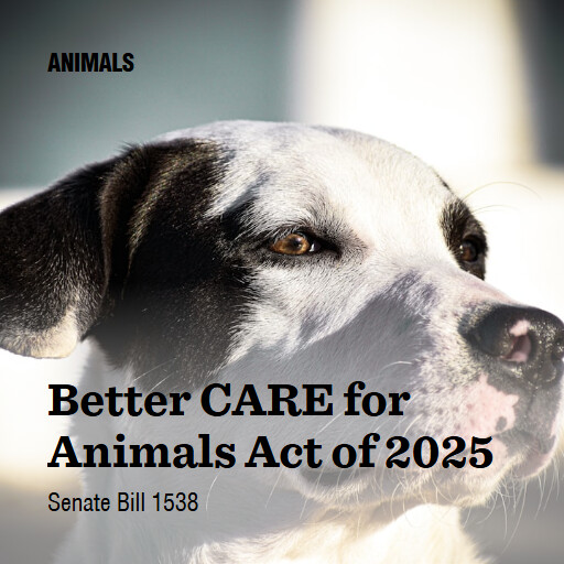 S.1538 119 Better CARE for Animals Act of 2025 2