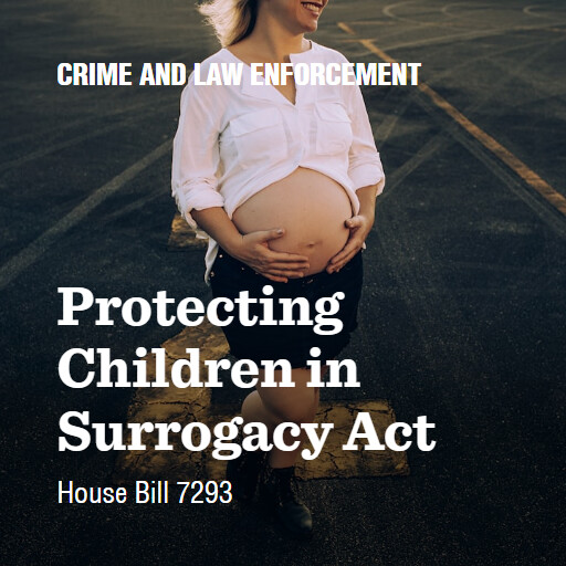 H.R.7293 119 Protecting Children in Surrogacy Act