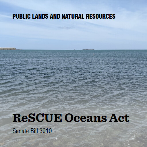 S.3910 119 ReSCUE Oceans Act