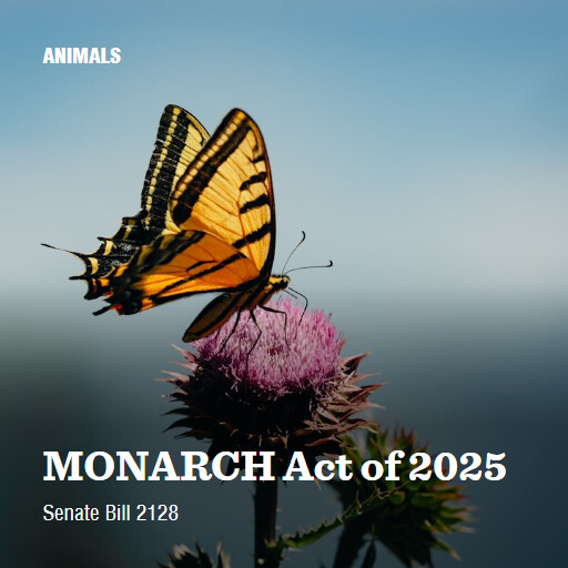 S.2128 119 MONARCH Act of 2025