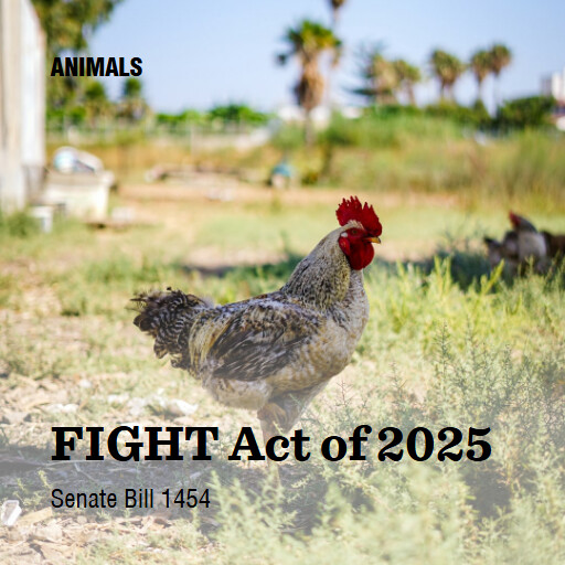 S.1454 119 FIGHT Act of 2025