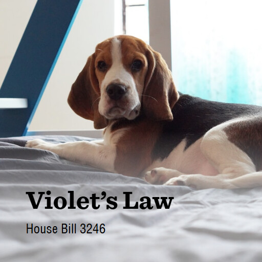 H.R.3246 119 Violets Law 2