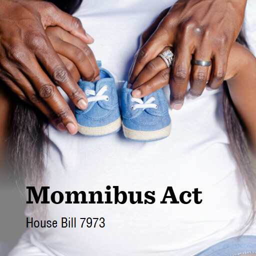 H.R.7973 119 Momnibus Act