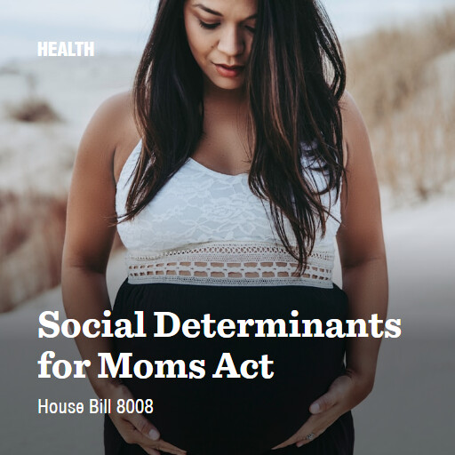 H.R.8008 119 Social Determinants for Moms Act