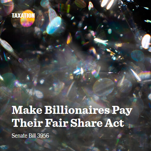 S.3956 119 Make Billionaires Pay Their Fair Share Act